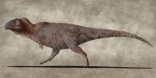 Tamaño Giganotosaurus