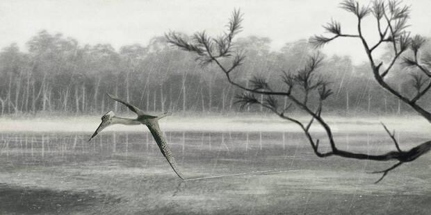 Quetzalcoatlus