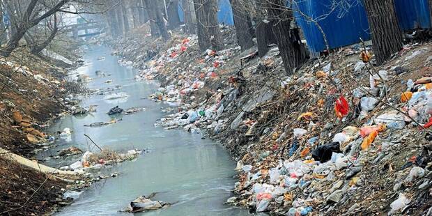 Contaminación Plásticos Extinción