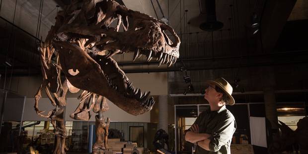 Esqueleto de T.rex
