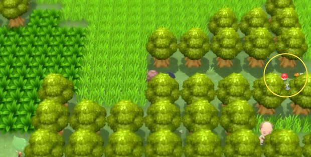 Pokémon Diamante Brillante y Perla Reluciente: Cómo conseguir Tela Terrible