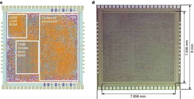 CPU Arm PlasticChip