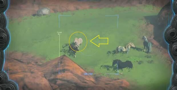 Zelda: Tears of the Kingdom - Encontrar al caballo blanco de Zelda