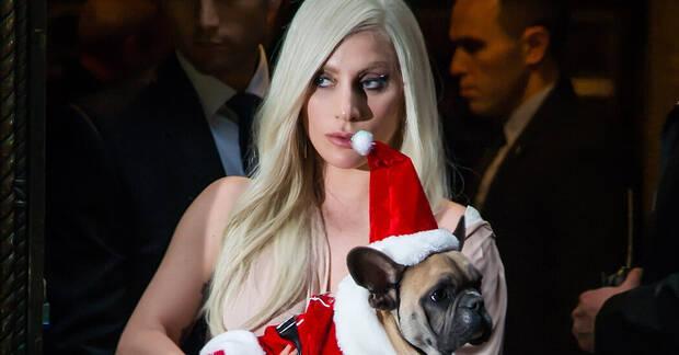 Secuestran a los perros de Lady Gaga