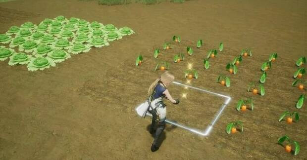Harvestella