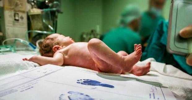 Elon Musk y los nacimientos