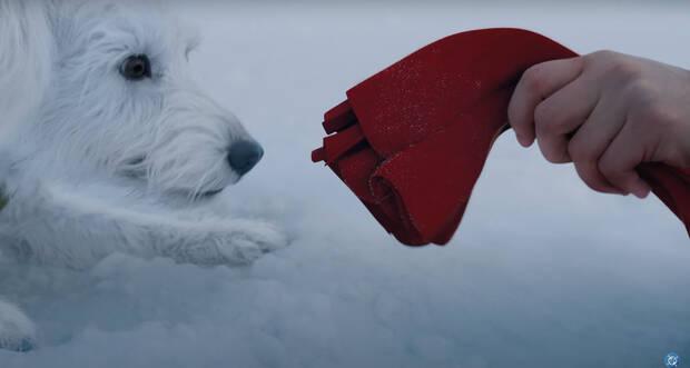 Krypto en Superman