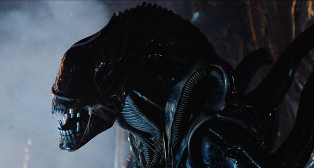 Aliens Warrior
