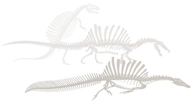 Dinosaurio Recreaci�n