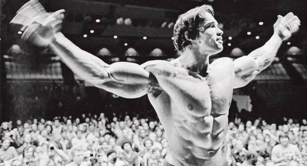 Arnold Netflix