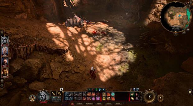 Baldur's Gate 3 - Osa lechuza muerta por los goblins
