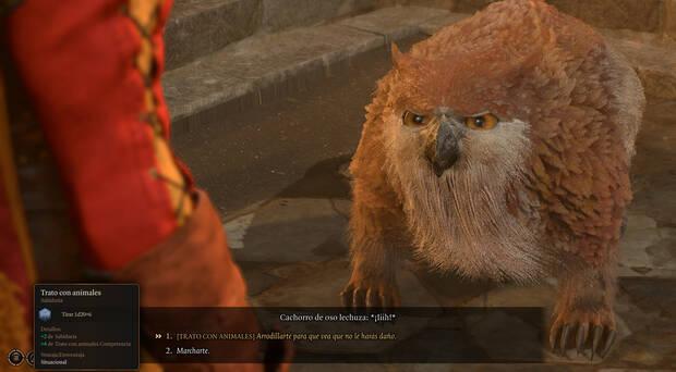 Baldur's Gate 3 - De qué sirve el cachorro de oso lechuza