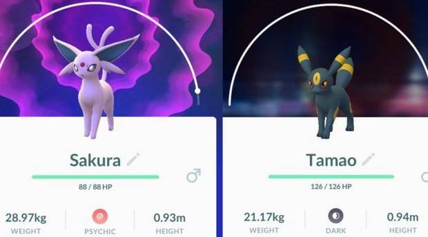 Cómo Conseguir A Umbreon Y Espeon En Pokémon Go