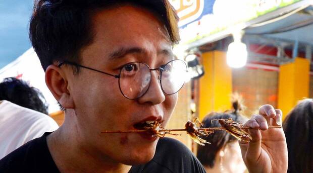 Comida insectos