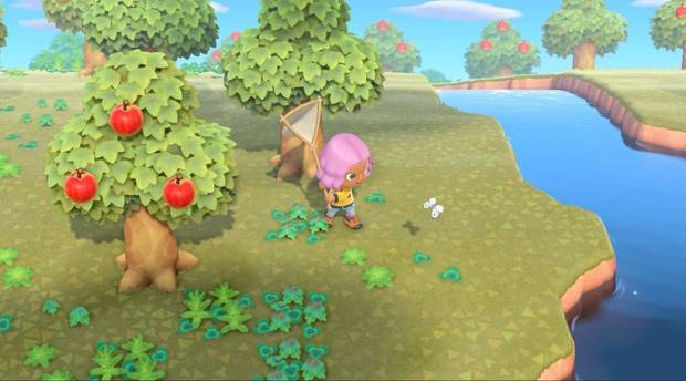 Animal Crossing: New Horizons - Vende los peces, bichos y fósiles más caros para ganar bayas