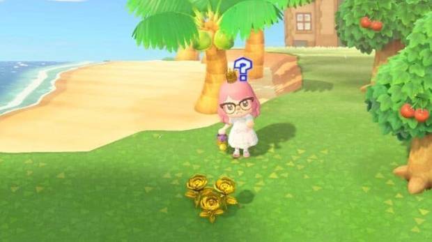Animal Crossing: New Horizons - Planta rosas doradas para ganar bayas