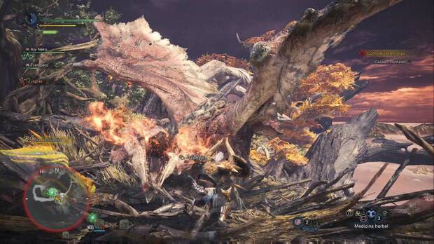 El Rathalos plantará batalla - Trono ardiente sobre el bosque - Monster Hunter World