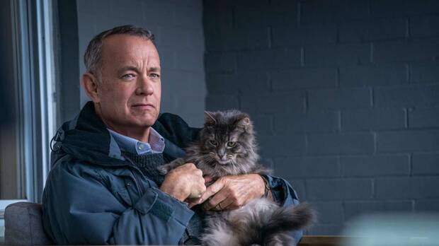 Tom Hanks El peor vecino del mundo