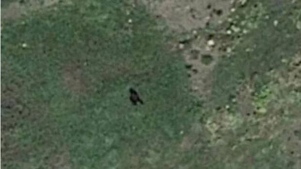 Bigfoot