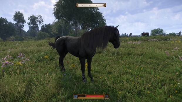 Kingdom Come: Deliverance 2 - Cómo conseguir un caballo