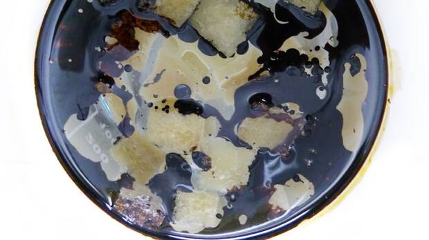 Bacteria y petr�leo