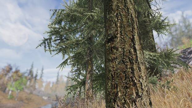 Un mod para Skyrim recrea los bosques del juego con distintos árboles reales Imagen 3