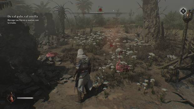 Assassin's Creed Mirage - Recoger flores blancas para la viuda