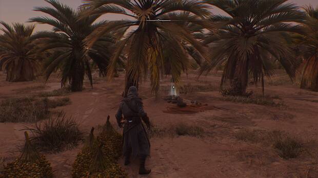 Assassin's Creed Mirage - Lugar de la solución al enigma Solaz bajo las palmeras lloronas