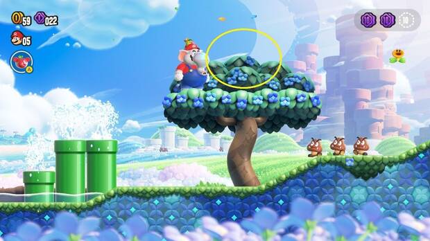 Super Mario Bros. Wonder - Localización de la Moneda púrpura #2 en Llegada al Reino Flor