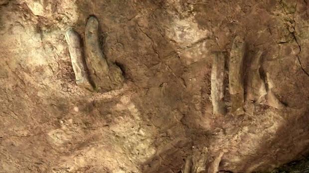 Huellas encontradas en La Rioja de dinosaurios acu�ticos