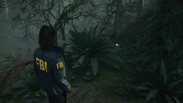 Alan Wake 2 - Fiambrera al oeste de Witch's Hut: ubicación junto a la hoguera