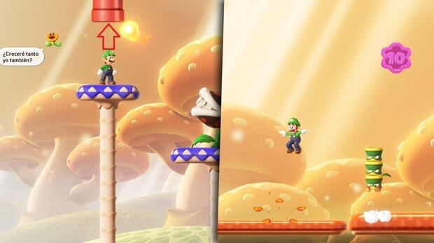 Super Mario Bros. Wonder - Localización de la Moneda púrpura #1 en Bosque de hongos extensibles