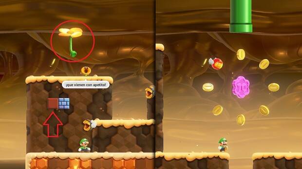 Super Mario Bros. Wonder - Localización de la Moneda púrpura #2 en La caverna de los Ñac-ñacs