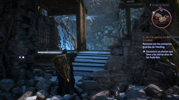 Dragon Age: The Veilguard - El mejor amigo de un guardia: escalera de mano en la zona del último objetivo del altar de los evanuris