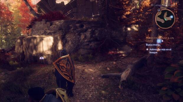 Dragon Age: The Veilguard - Cómo entrenar a un grifo: rocas que se pueden levantar en la zona del huracán