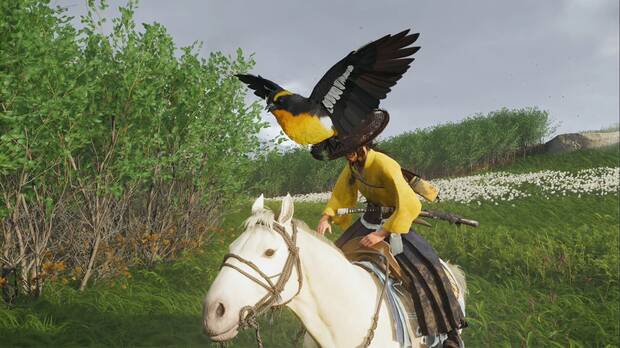 Ghost of Yotei - Lugares de interés, pájaro dorado que te guía a lugares de interés