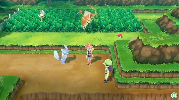 Pokémon Let's Go - Ruta 9: inicio