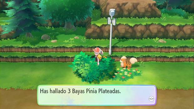 Pokémon Let's Go - Ruta 8: Pinia Plateada
