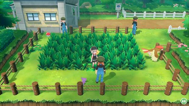 Pokémon let's go: Ruta 18: entrenadores en la hierba alta