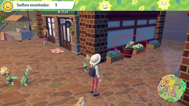 Pokémon Escarlata y Púrpura - Localización de Sunflora nº 6 en el examen del Gimnasio Planta