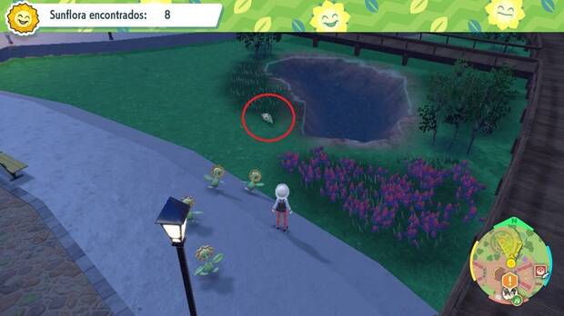 Pokémon Escarlata y Púrpura - Localización de Sunflora nº 9 en el examen del Gimnasio Planta