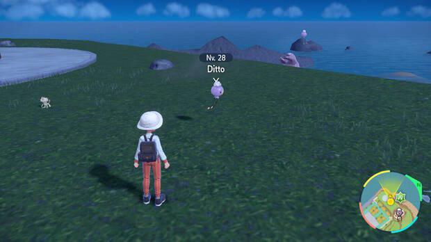 Pokémon Escarlata y Púrpura - Pokémon en los que se transforma Ditto