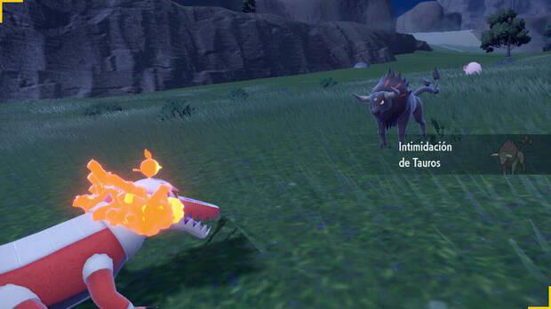 Pokémon Escarlata y Púrpura - Cómo conseguir a las formas exclusivas de de Fuego y Agua de Tauros de Paldea