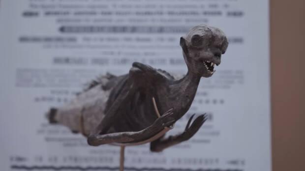 El misterio de la sirena momificada de Jap�n