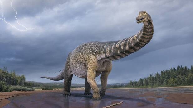 Dinosaurio Australiano