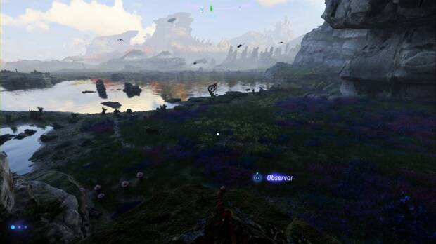 Avatar: Frontiers of Pandora - Tótems Sarentu en las Llanuras Altas: Tótem Sarentu #5, punto desde el que mirar