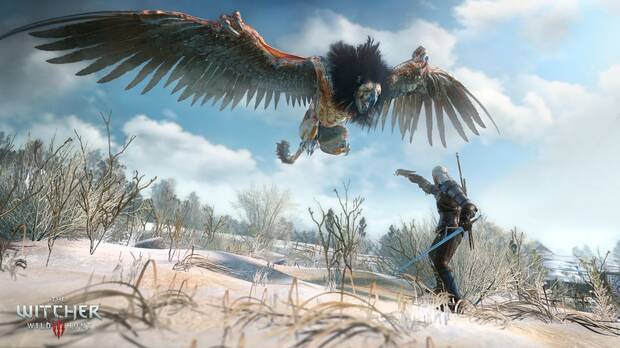 The Witcher 3 Wild Hunt 3