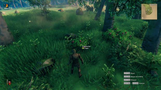 Valheim - Ve en busca de alimentos