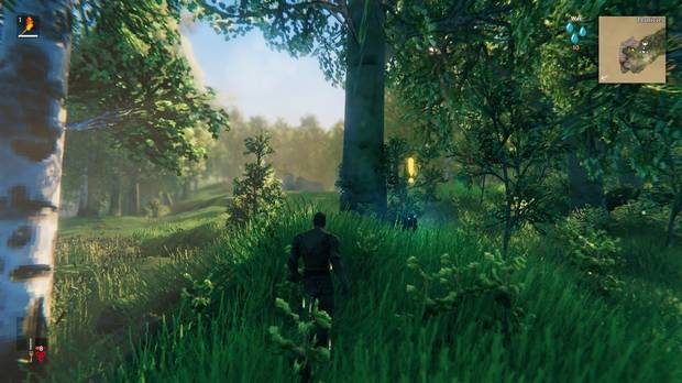 'Valheim' lleva la supervivencia a una tierra llena de peligros y mitología nórdica. El mundo está generado por procedimientos.