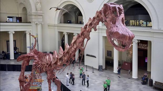 Esqueleto de dinosaurio